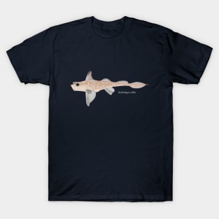 Spotted ratfish- Hydrolagus colliei T-Shirt